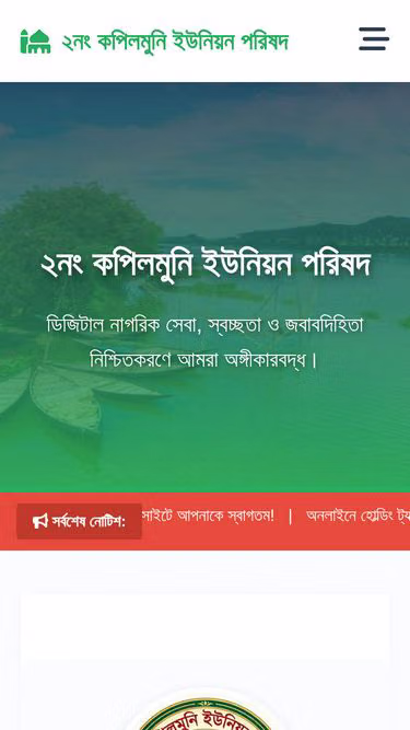 Screenshot of digitalup.online