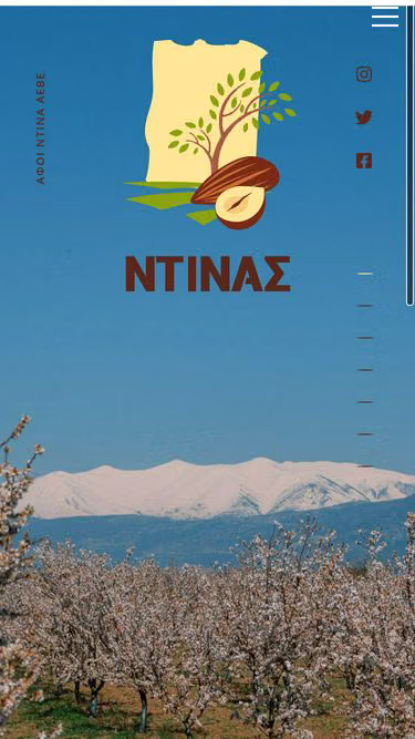 Screenshot of dinas.gr