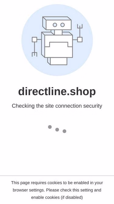 Screenshot of directline.shop