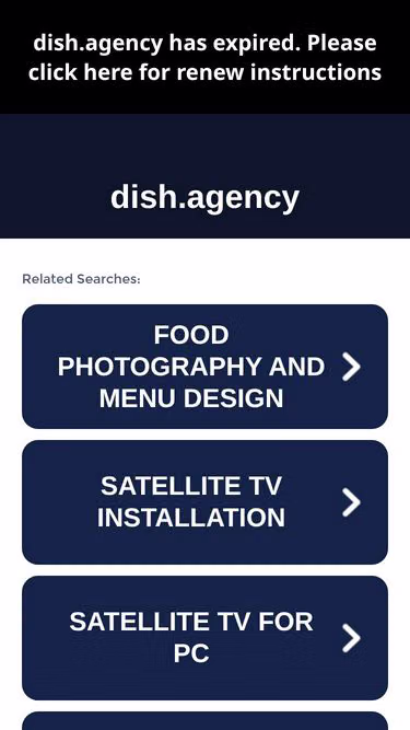 Screenshot of dish.agency