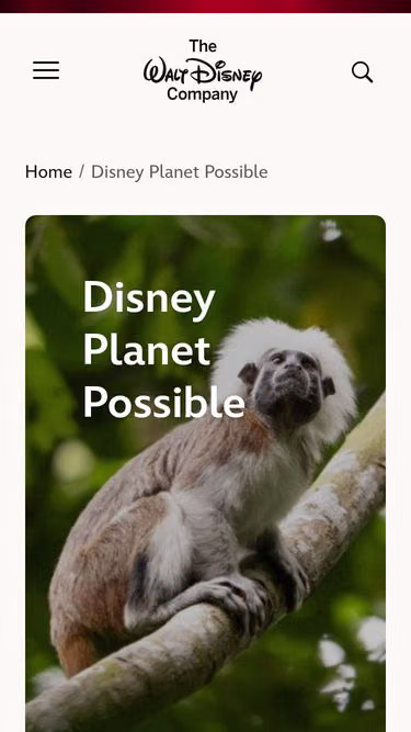 Screenshot of disney-planet-possible.tt