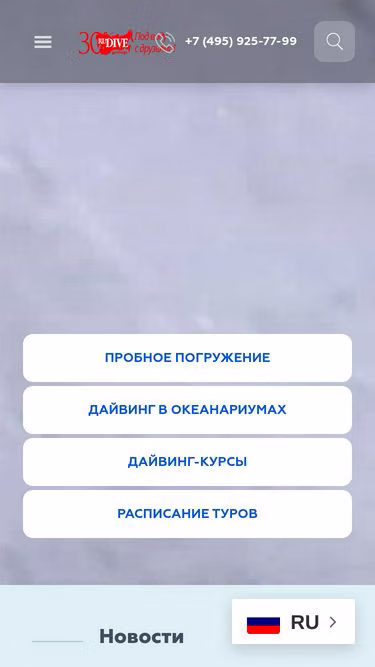 Screenshot of dive.ru