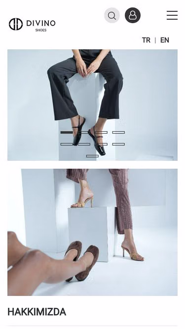 Screenshot of divino.com.tr
