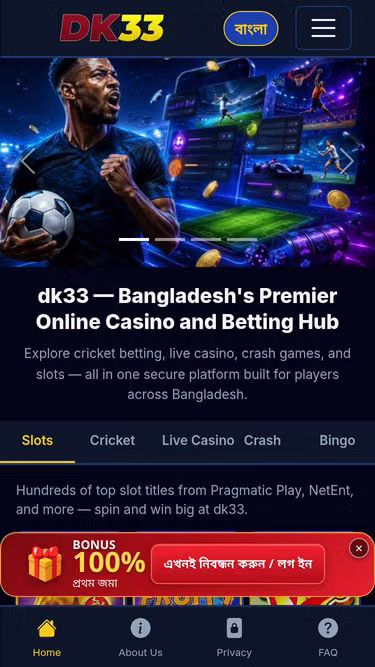 Screenshot of dk33.vin