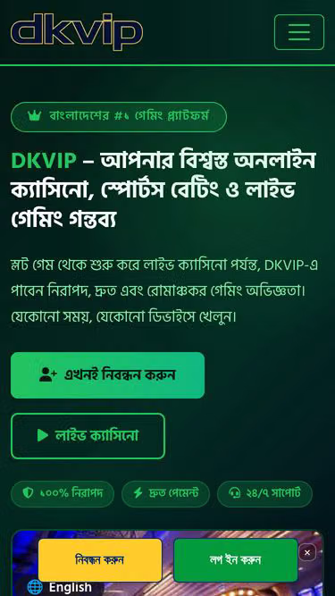 Screenshot of dkvip.fun