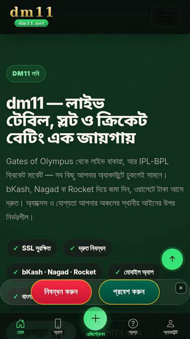 Screenshot of dm11.net