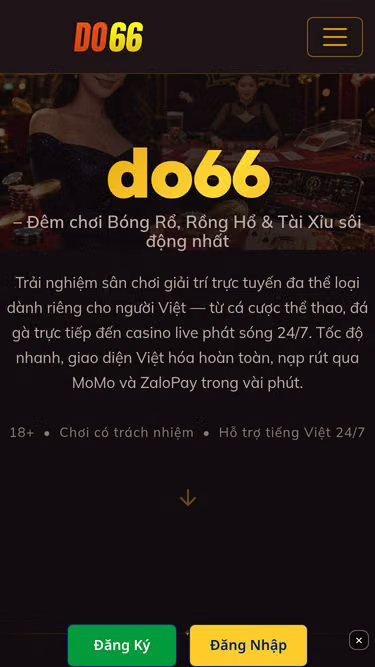 Screenshot of do66.bar