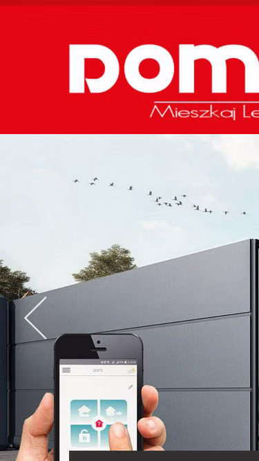 Screenshot of domi.net.pl