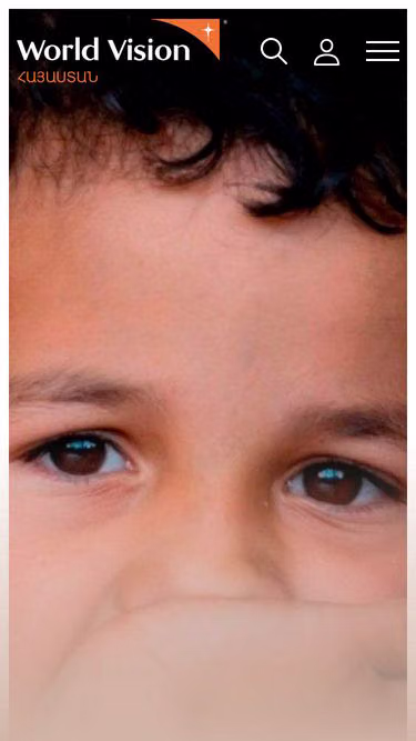 Screenshot of donate.am