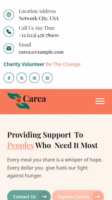 Screenshot of donation.net.pk