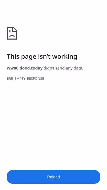 Screenshot of dood.today