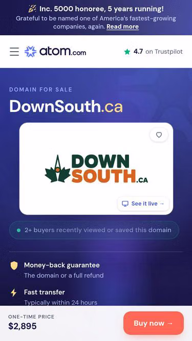 Screenshot of downsouth.ca