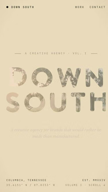 Screenshot of downsouth.co