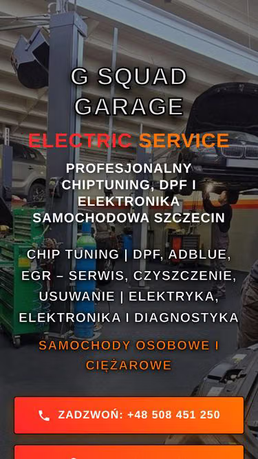 Screenshot of dpf.szczecin.pl