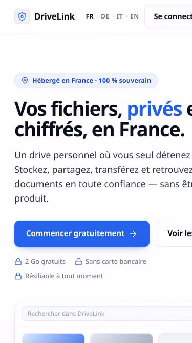 Screenshot of drivelink.fr