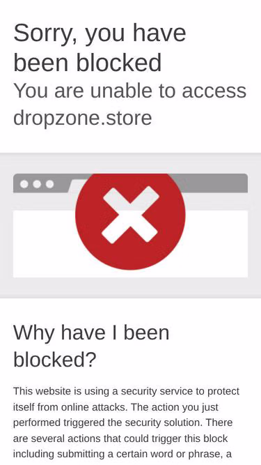 Screenshot of dropzone.store