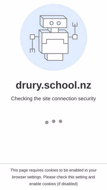 Screenshot of drury.school.nz