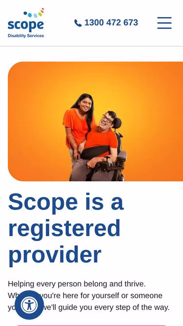 Screenshot of dsa.org.au