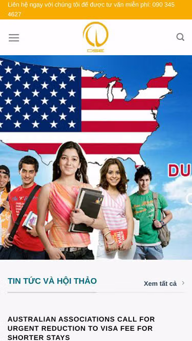 Screenshot of dse.vn