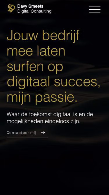 Screenshot of dsweb.be
