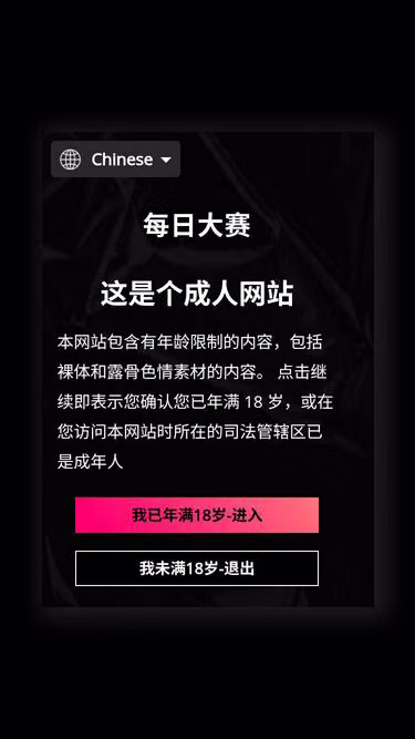 Screenshot of dsweb.cc