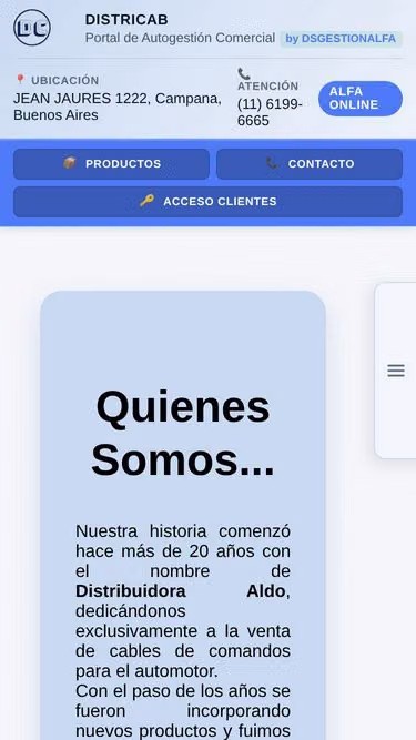 Screenshot of dsweb.online