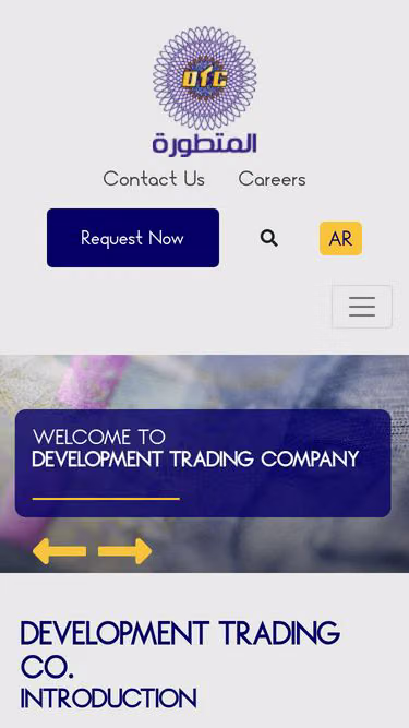 Screenshot of dtc.com.sa