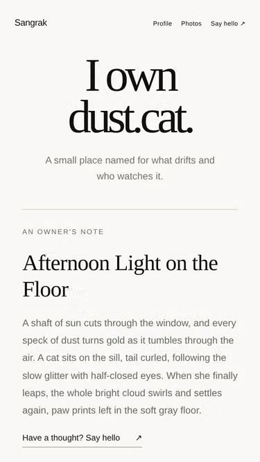 Screenshot of dust.cat