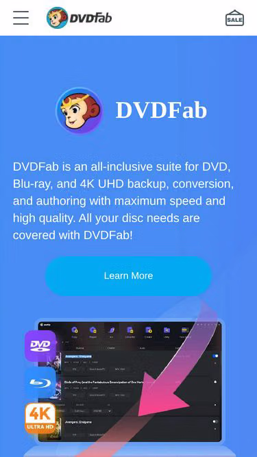 Screenshot of dvdfab.us