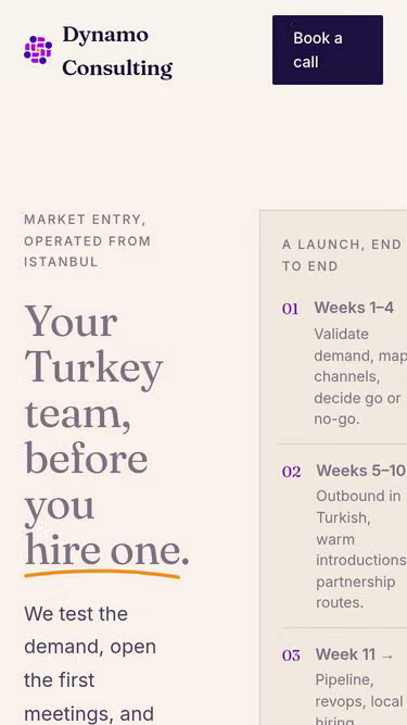 Screenshot of dynamo.tr