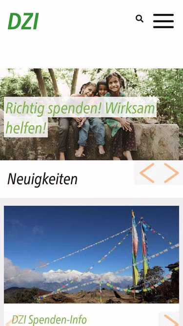 Screenshot of dzi.de