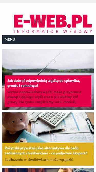 Screenshot of e-web.pl