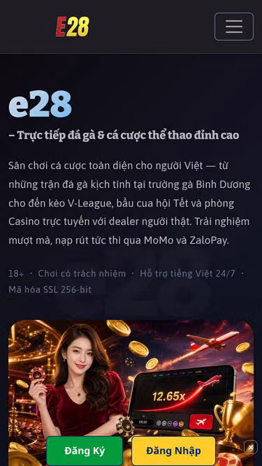 Screenshot of e28.cam