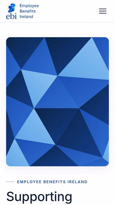 Screenshot of ebi.ie
