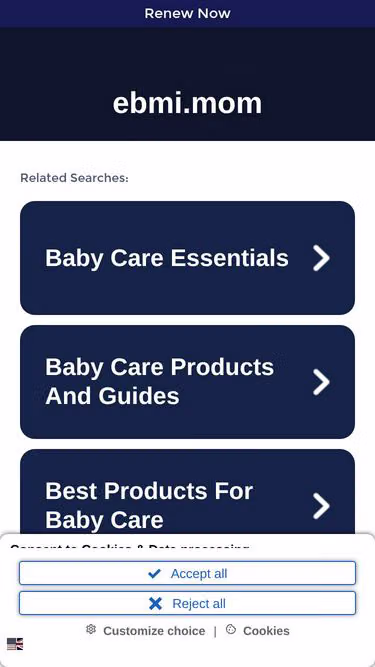 Screenshot of ebmi.mom