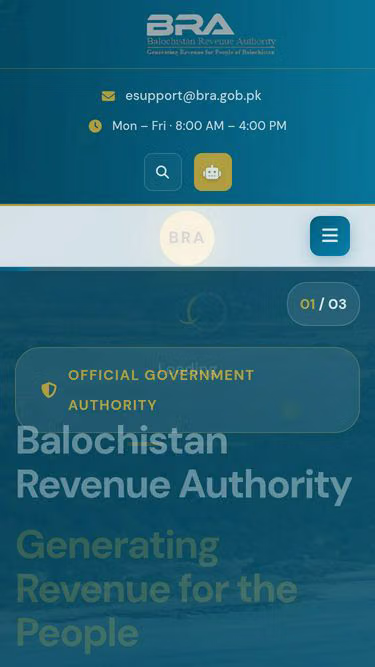 Screenshot of ebra.com.pk