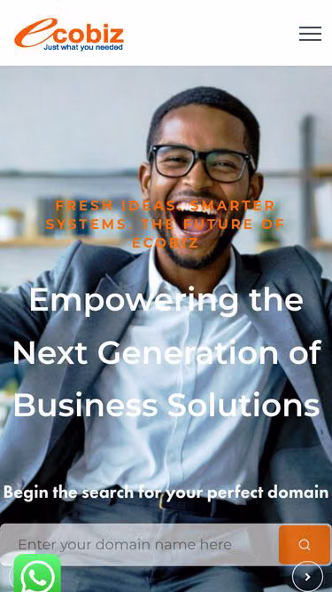 Screenshot of ecobiz.co.ke