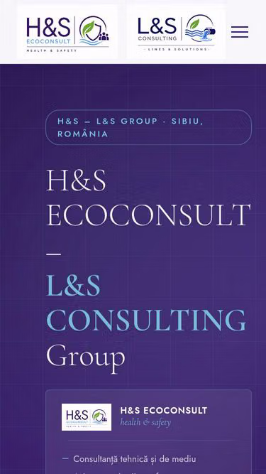 Screenshot of ecoconsult.ro