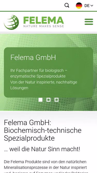 Screenshot of ecofriendly.ch