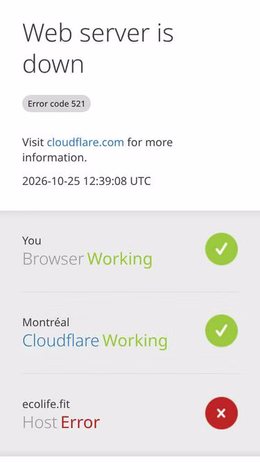 Screenshot of ecolife.fit