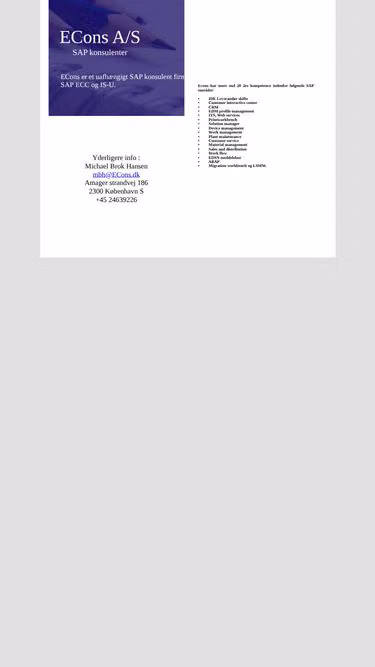 Screenshot of econs.dk