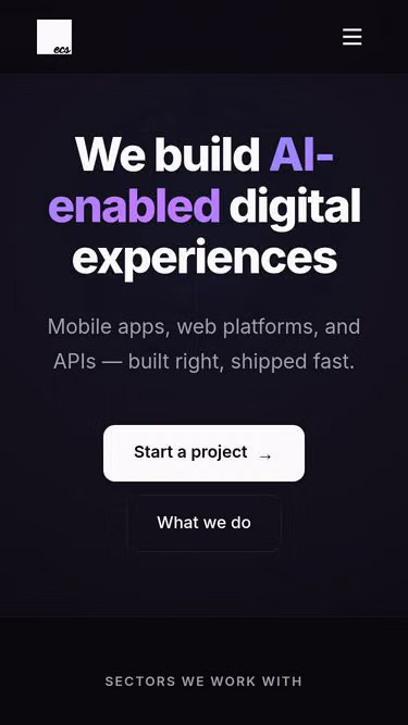 Screenshot of ecs.consulting