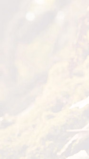 Screenshot of edwin.tw