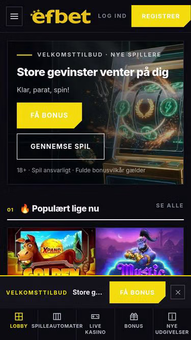 Screenshot of efbetcasino.dk