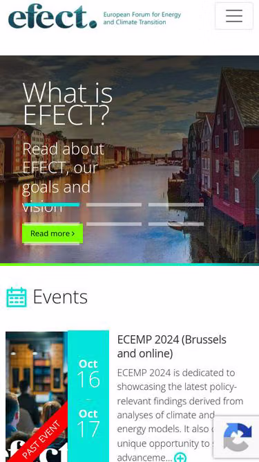 Screenshot of efect.eu