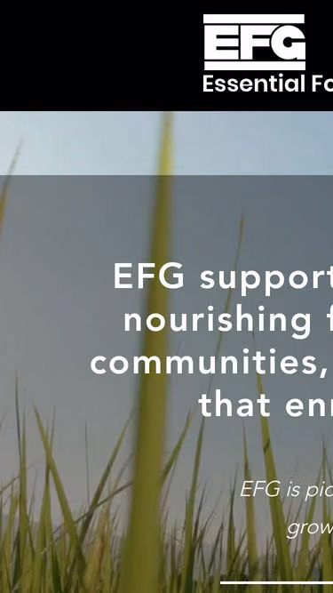 Screenshot of efg.gy