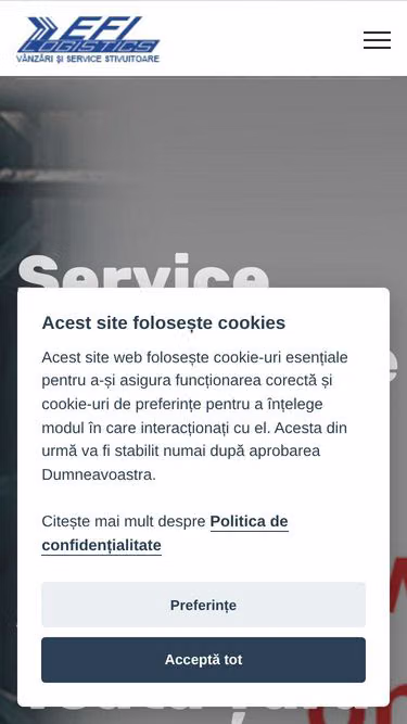 Screenshot of efi.ro