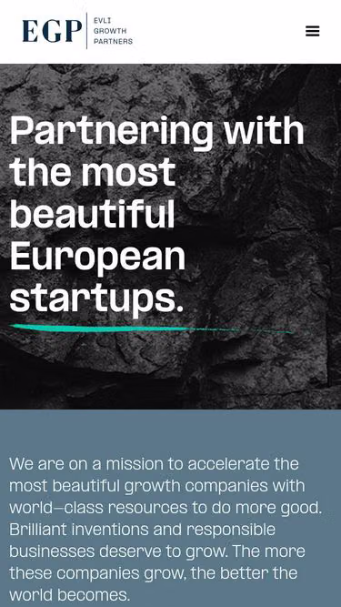 Screenshot of egp.fi