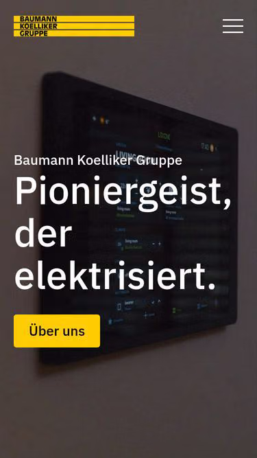 Screenshot of elektro.ch
