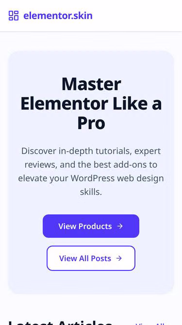 Screenshot of elementor.skin